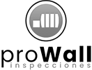 prowallinspecciones.cl